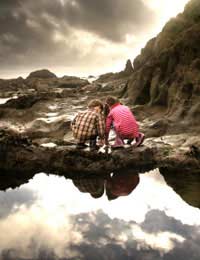 Children Seaside Farm Holidays Beach